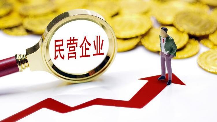 bilibili|民企加入通信运营商市场，全民优打出招吸引4G用户