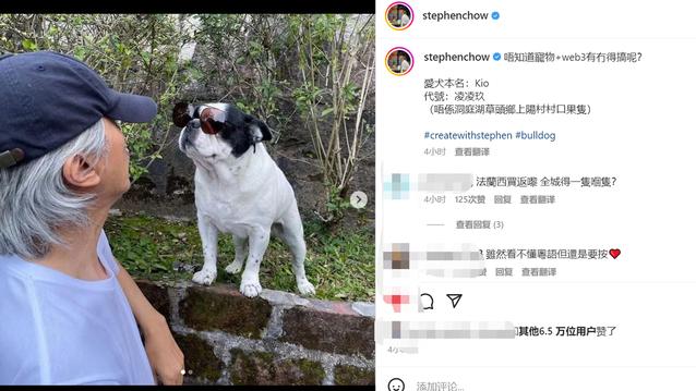 周星驰|周星驰与爱犬亲密互动！满头银发戴棒球帽，墨镜架在狗头上