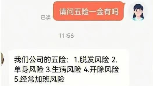 华为|理不直气也壮？毕业生要“五险”被hr嘲笑：你以为你来当公务员呢