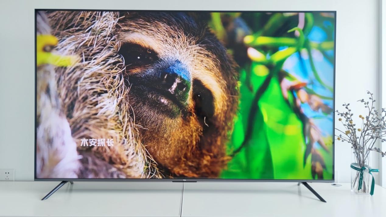 nas|买电视一定越贵越好？电视专卖店老板告诉你这里面的门道