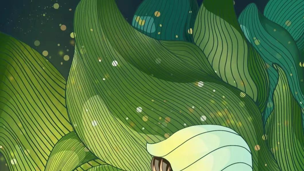 董卿|撒贝宁、董卿、杨澜...70句惊艳的“央视主持人”语录