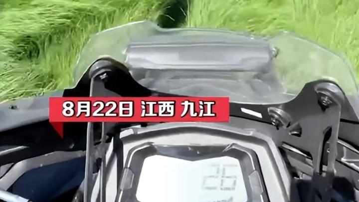 草原|鄱阳湖和洞庭湖现已变成大草原，为何今年这么旱？明年还会这样吗