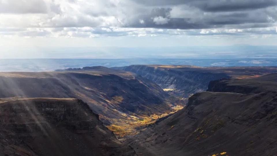 黑莓手机|三星电视称霸全球市场16年, 哪家中国企业能带头打局?