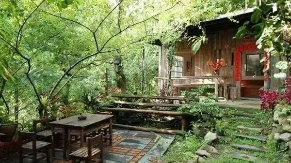 11月28日 十一月初五 ，十二生肖运势与注意事项