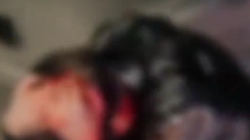 河南三门峡，一名年轻男子遭到众人围殴，对方人多势众