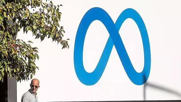 双十一|有没有绿卡真是天差地别！Meta裁员，有绿卡的躺平，没绿卡的惨了