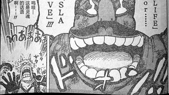 海贼王|海贼王1040话汉化，大妈被基德和罗击败，抱怨罗杰开启大航海时代