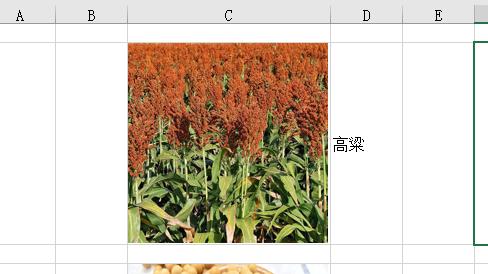excel|Excel如何隔行插入图片？
