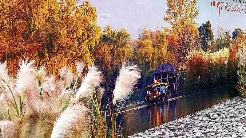 杭州|杭州秋天的美景有哪些 杭州十大最美秋季景点