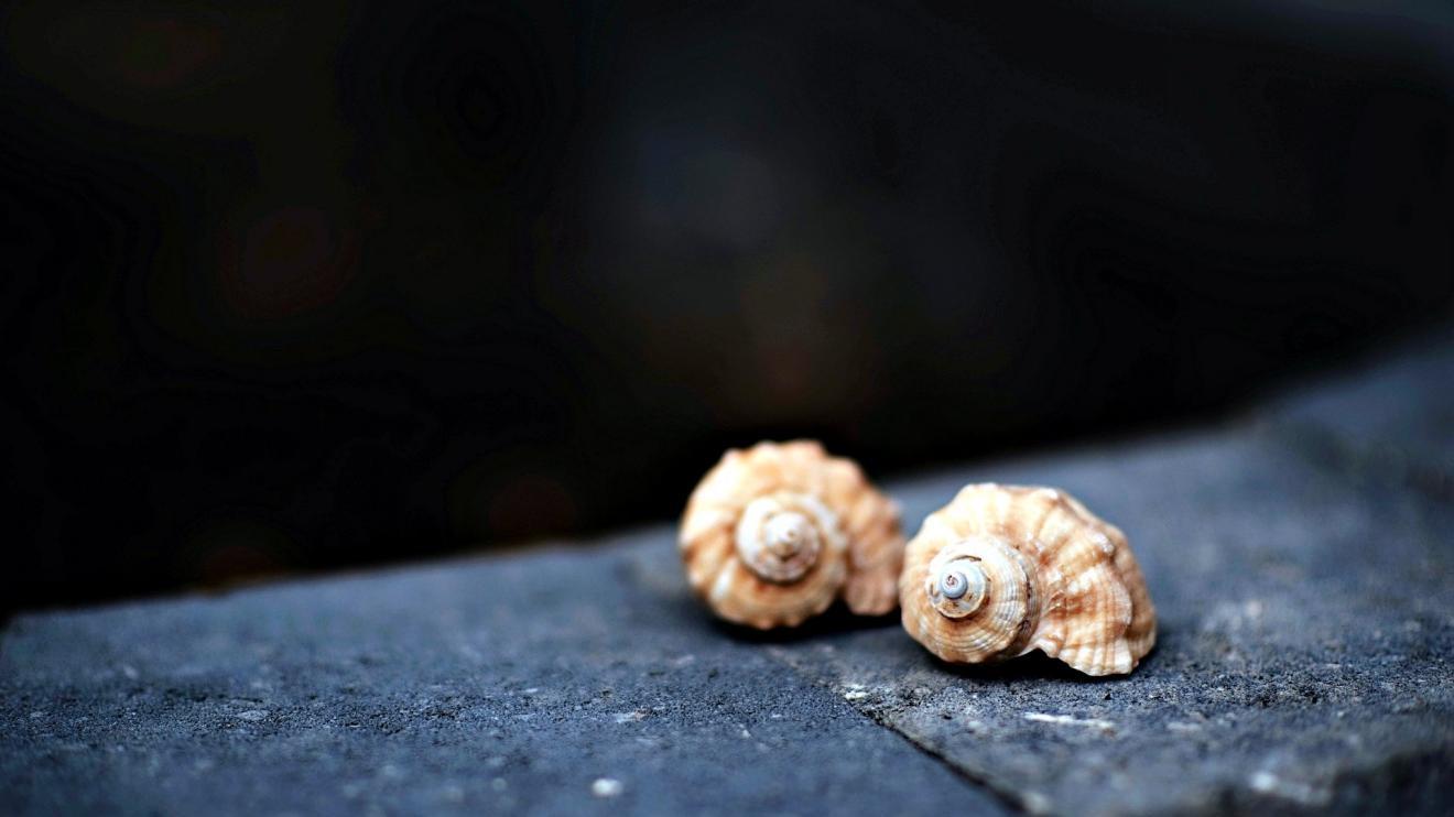 |职场中，如何与同事相处？