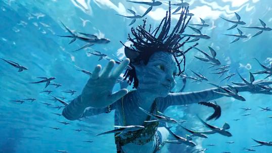 电影|《阿凡达2》分级出炉，被描述为涉及部分裸露镜头