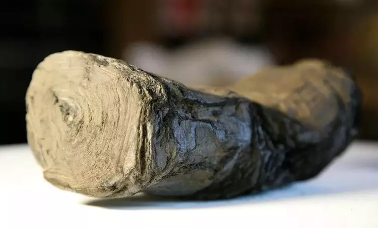 幸存2000年碳化卷轴无人能解，如今被比阳光亮100亿倍的光束解读