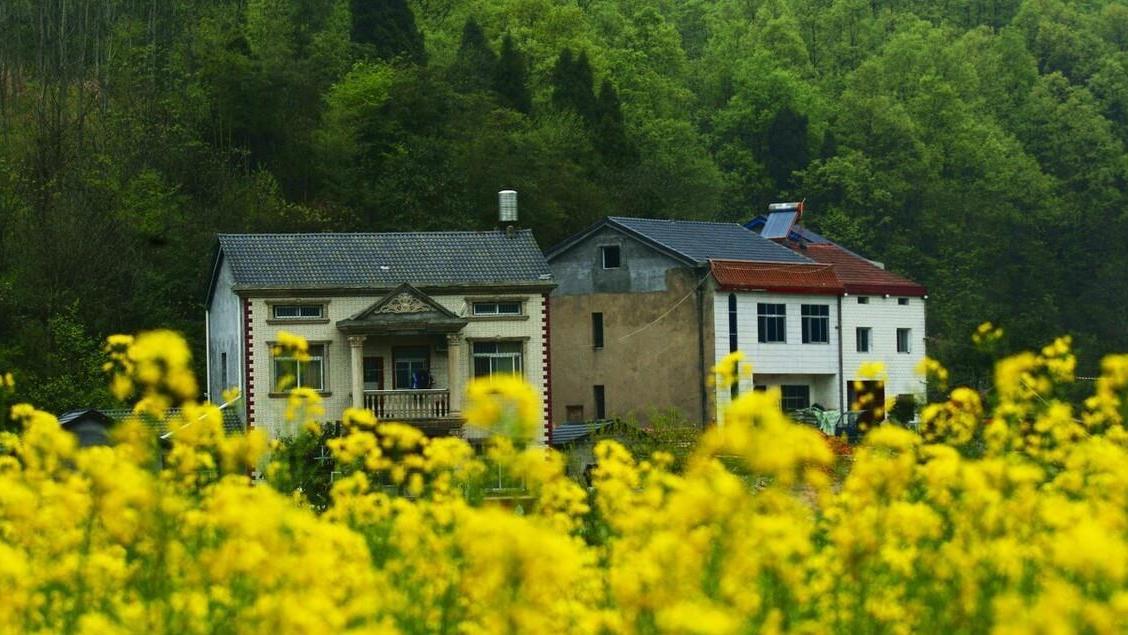 宅基地|签了租房协议后城里人在我家宅基地盖房住了，现在想赶他走，咋办