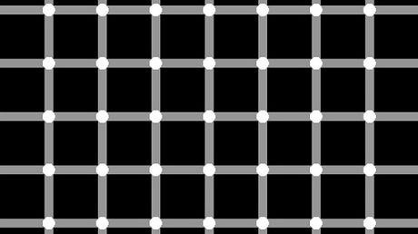 眼见不一定为实，连续被刺激的S1神经元，让你怀疑自己的眼睛