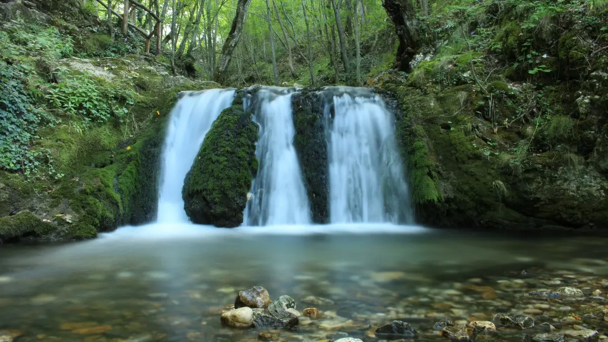 火车|旅游途中学到学问
