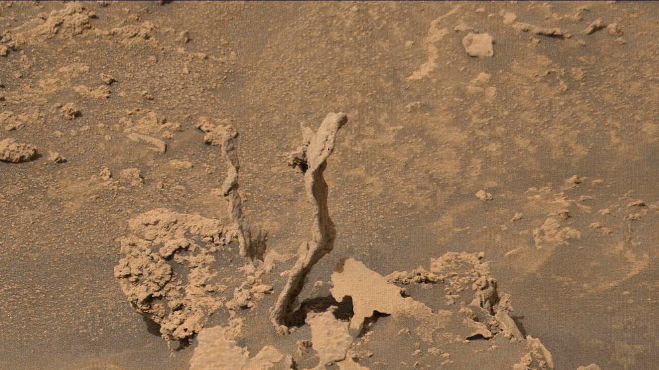 好奇号发现两条“火星眼镜蛇”？SOL3474：好像正从火星土壤钻出