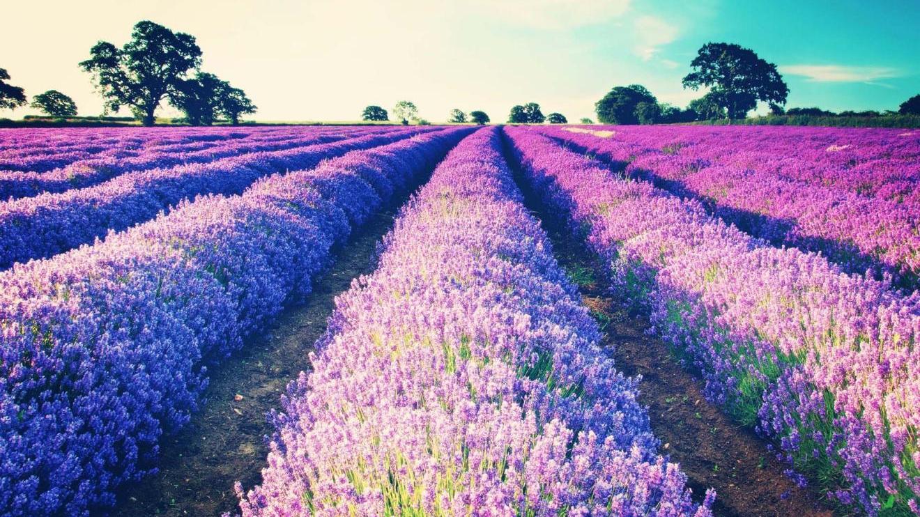 |职场中，有“三种人”，领导绝对会远离，千万别再和他们搞在一起