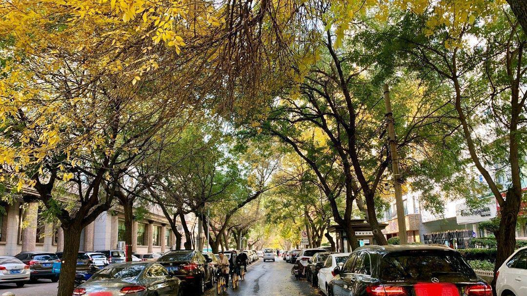 天津市|秋季去哪里玩最好呢？天津十大秋季旅游景点，天津秋色最美的地方