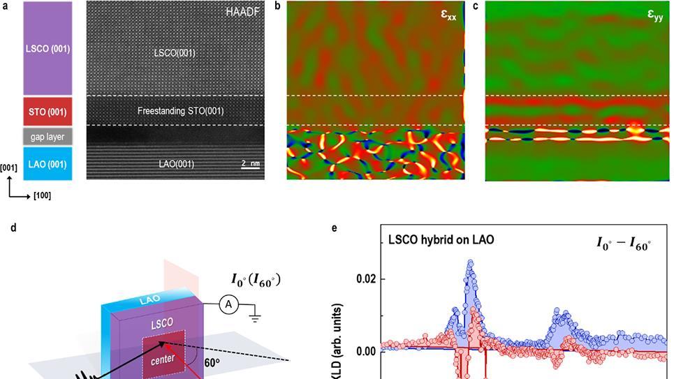 进展丨面内异晶面和异应力同质结的构筑