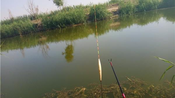 饵料|半目的轻鱼口，真的让我受够了，冬季钓鱼怎么放大浮漂信号？