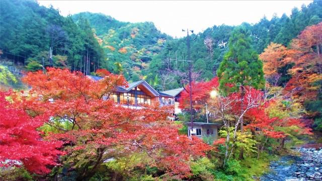 温泉|西日本地区的赏枫名地，这些地方值得一去