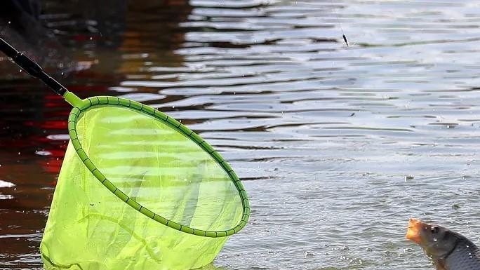 |没有规矩的钓鱼，比没钓到鱼更可怕，做好9点给自己的修养加分