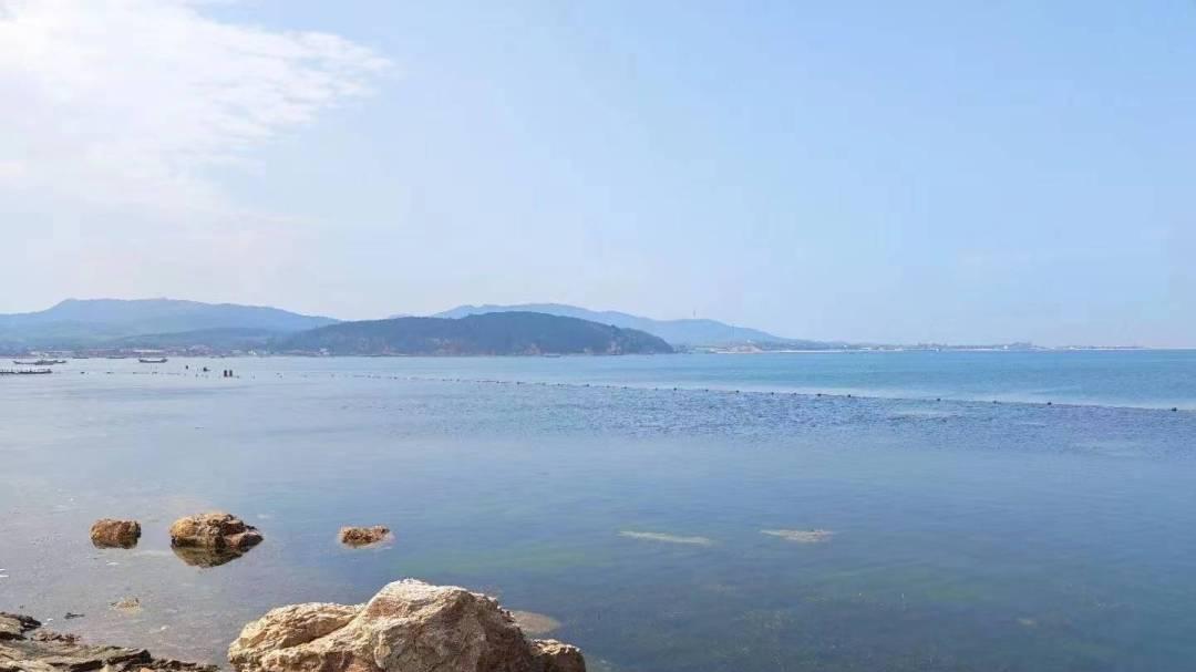 |老板不给你涨工资，为什么还不走？