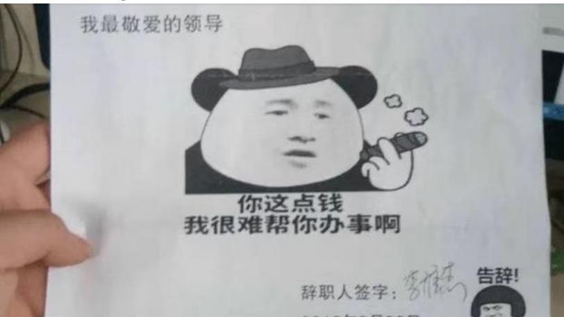00后|00后大学生“辞职信”火了，辞职理由让领导无言以对，太直白了