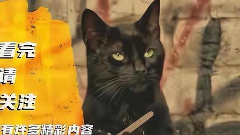 北极熊陆上生存的可能性？适应性进化vs海冰融化的速度竞赛