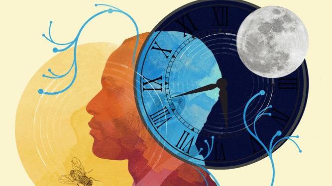 白天不懂夜的黑，你属于哪种睡眠类型？
