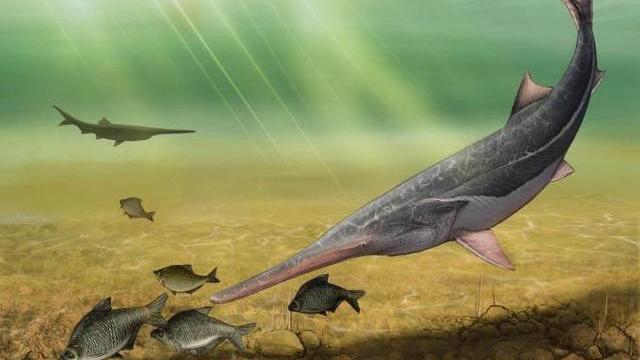 物种灭绝意味着什么？第六次物种大灭绝或正在发生，有何影响？