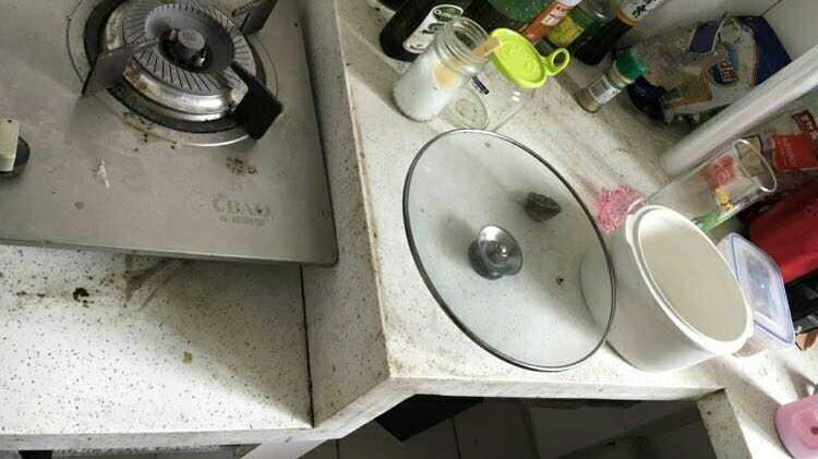 跟别人合租，出租房被糟蹋成猪窝，你们见过这么邋遢的女孩吗？