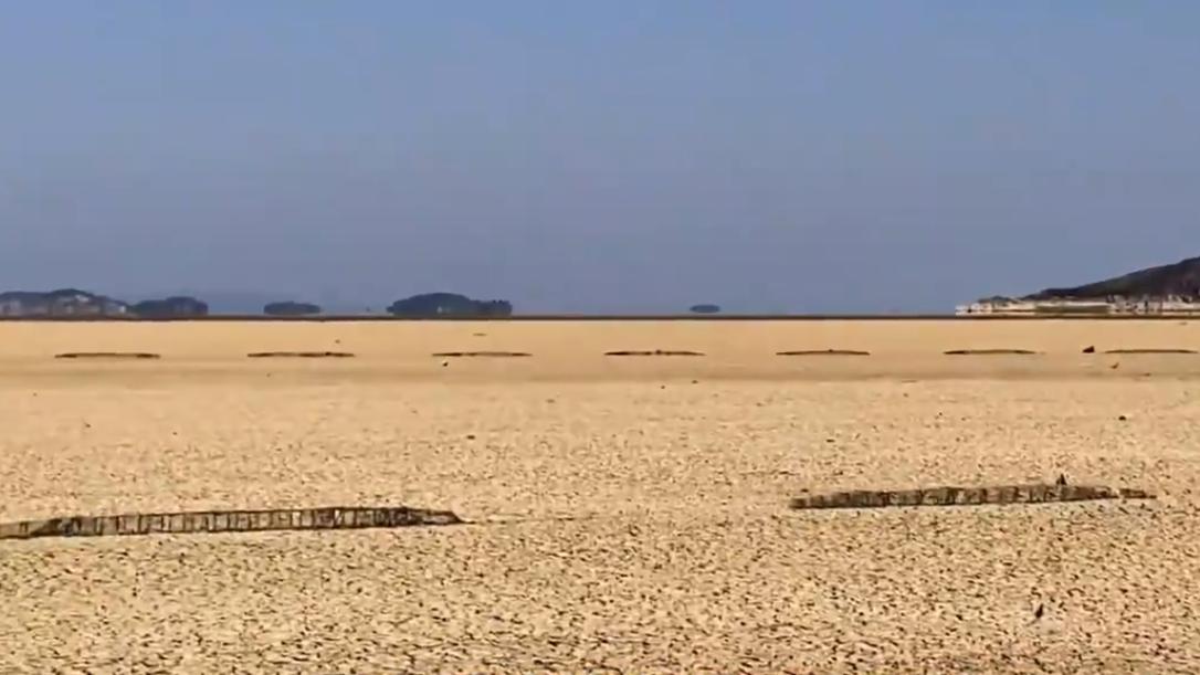 鄱阳湖|鄱阳湖巨型地笼，反说明钓鱼人是替下网电鱼者背锅，您说呢？