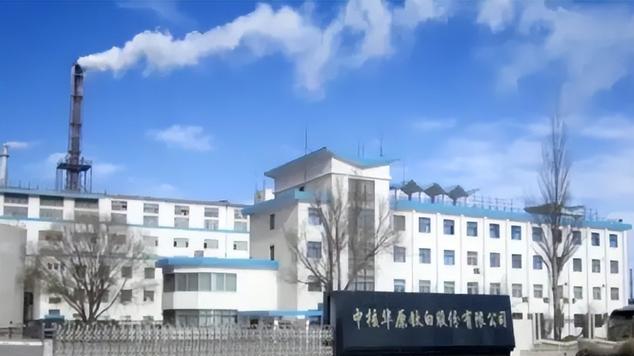 广东揭阳90后首富王泽龙，19岁找父亲借14亿，如今身价115亿