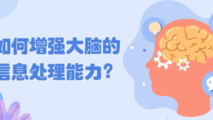 如何增强大脑的信息处理能力？