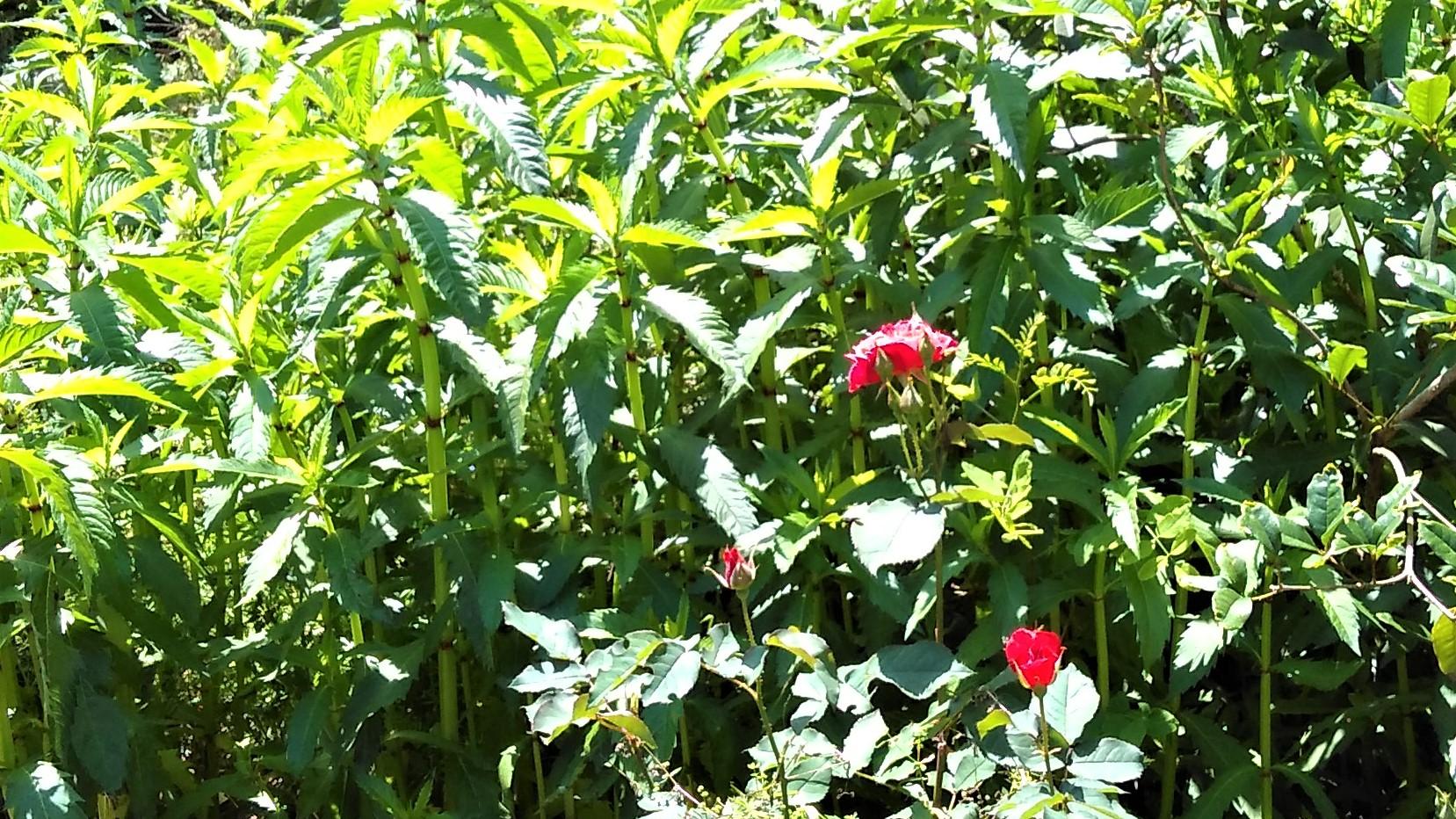 |职场君子，坦坦荡荡