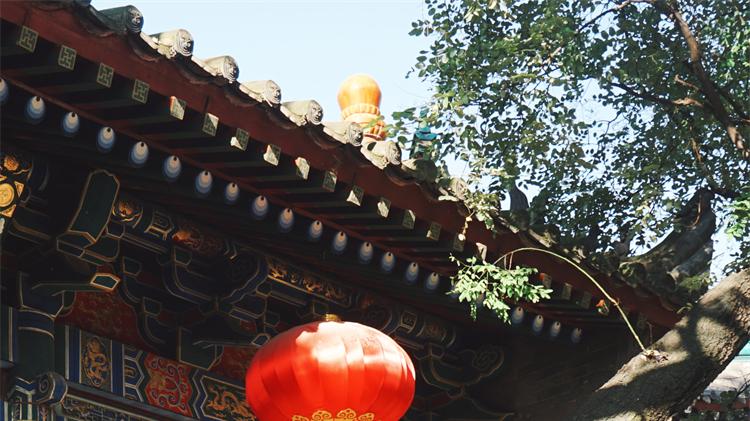 文昌|国庆赏秋不拥挤！隐于西安闹市的秘境古寺，藏着流转千年的诗意