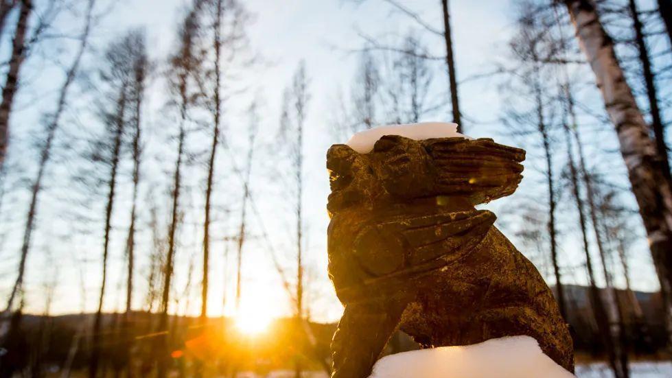 冬日暖阳丨冬游鄂伦春，用镜头捕捉唯美的冰雪神韵