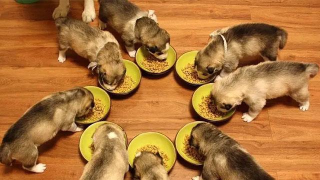 占不到便宜还吃亏？过来人表示，这几样东西不要网购，容易中招