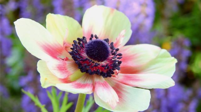 教师|九月开门接喜，阻碍减弱，事业顺利畅达，做啥都能赚的3大生肖！