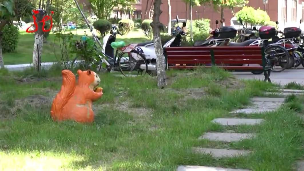 保安与业主因不满主人遛狗时随地大小便，遂投毒鸡肝致11条狗死亡
