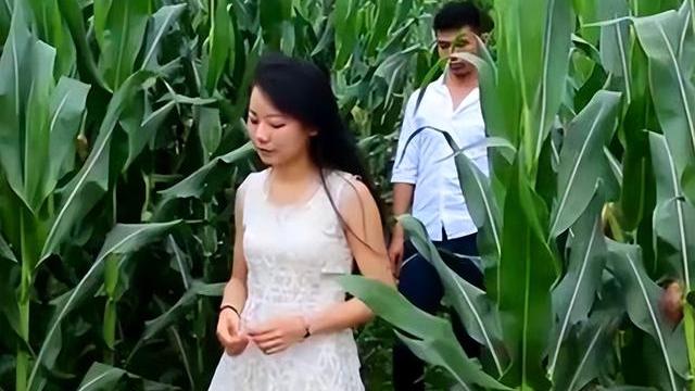 案例：湖北农民上山砍柴，发现灌木丛中一具女尸，下身遭非人摧残