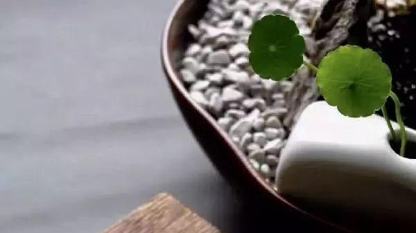 翡翠|一块被绺裂“附体”的翡翠原石。