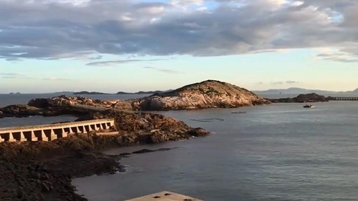 浙江省|浙江观海地，这个小长假就去追海豚、观海鸟，享受安静古朴的渔村