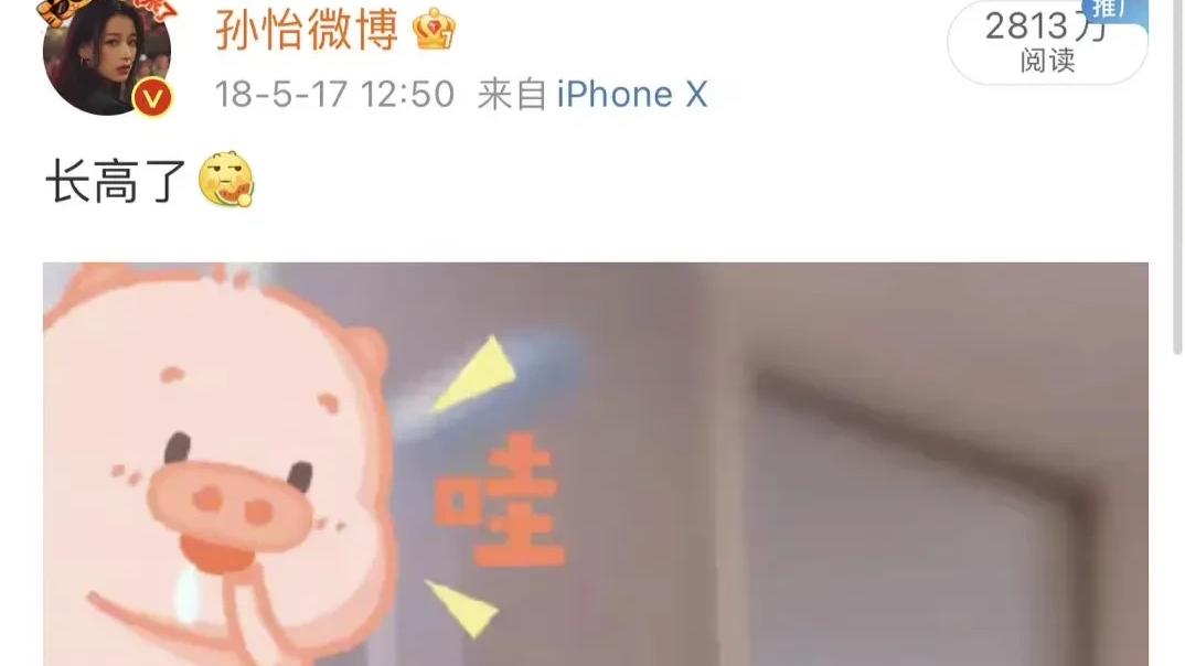 孙怡|刚官宣和董子健离婚没多久的孙怡上了热搜