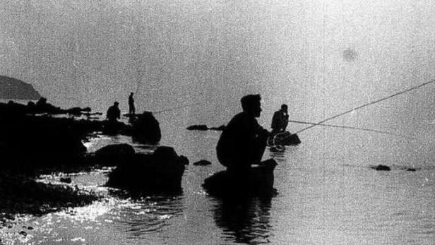 水库|将军视察水库，见水面阵阵涟漪，笑言：“拿我鱼竿来”