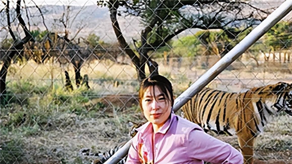 中国将5只华南虎放到非洲草原，繁衍到15只后，专家发现了不对劲