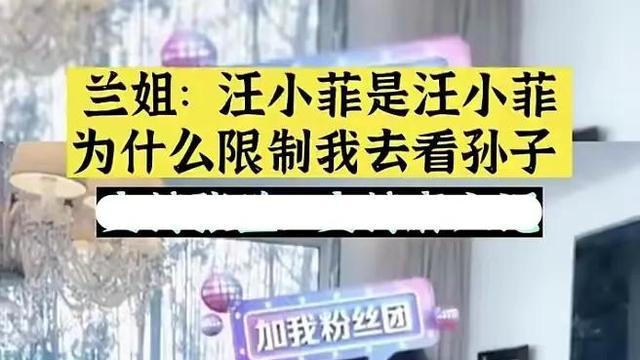 大S|大S告诉汪小菲具俊晔很节俭，转身刷前夫的卡1天买2个百万爱马仕！