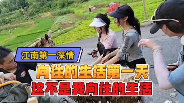 童锦程|向往的生活直播版首播，童锦程小羊绑定成CP，节目全程是看点