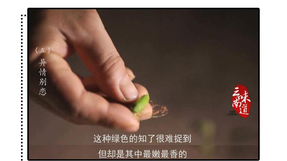下雪了！你永远不知道南方人在东北混得有多惨......看到最后笑喷